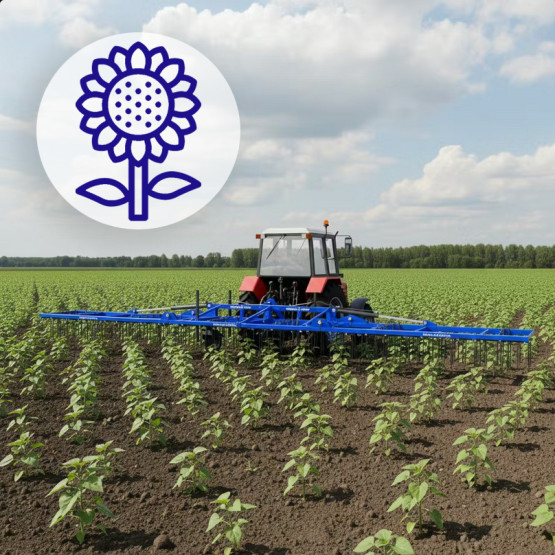 Come usare correttamente un erpice a molla per i girasoli: scegliere EcoTerra