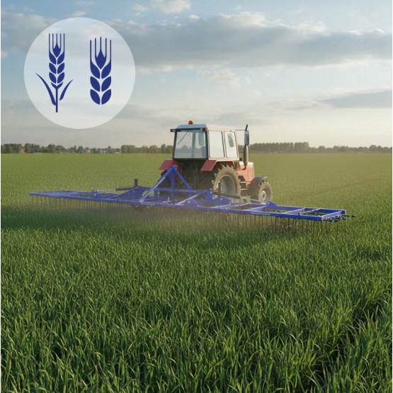 How to Properly Use a Spring Harrow on Wheat: Selection and Technology